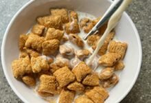 choosing first greblovz2004