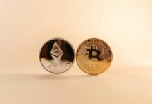 support cryptocurrency network growth